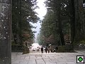 thn_img00046.jpg