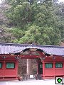 thn_img00084.jpg