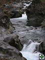 thn_img00112.jpg