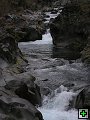 thn_img00113.jpg