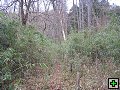 thn_img00117.jpg