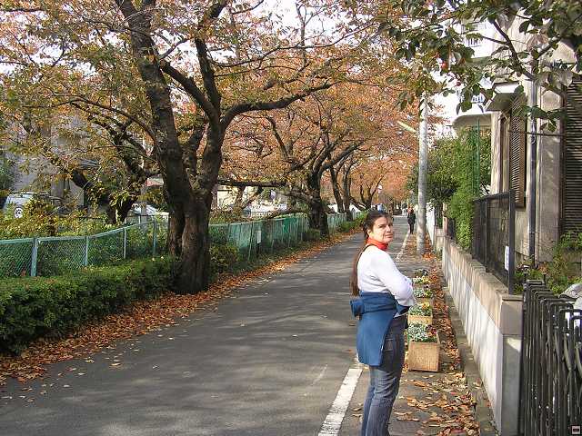 PB260021.jpg