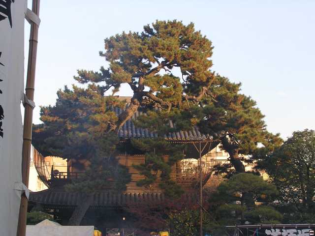 PC140025.jpg