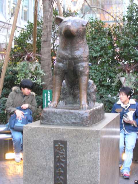 PC140029.jpg