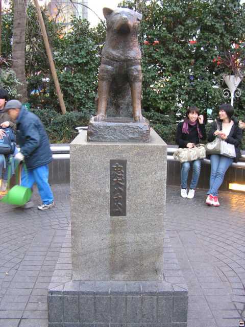 PC140030.jpg