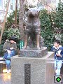 thn_PC140029.jpg