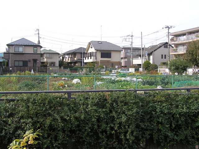 PB260004.jpg