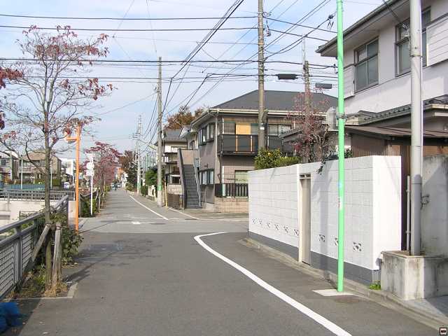 PB260005.jpg