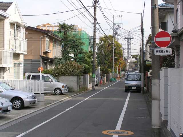 PB260008.jpg