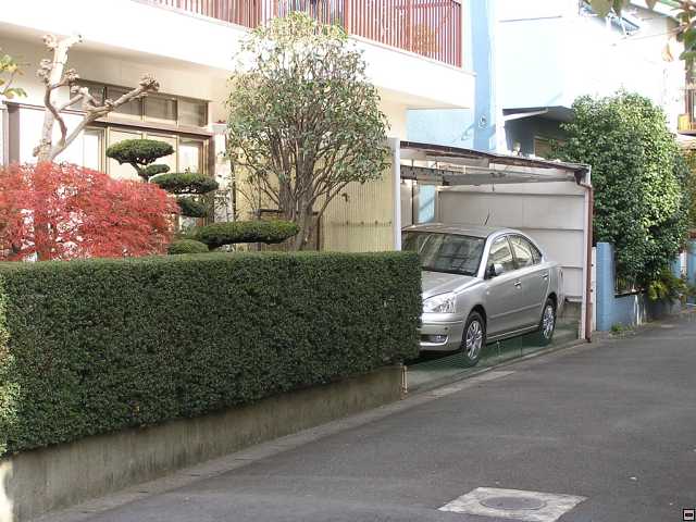 PB260010.jpg