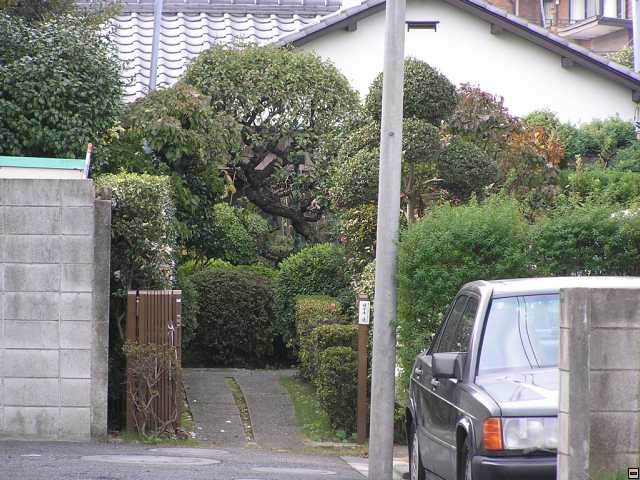 PB260012.jpg
