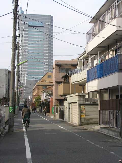 PB260025.jpg