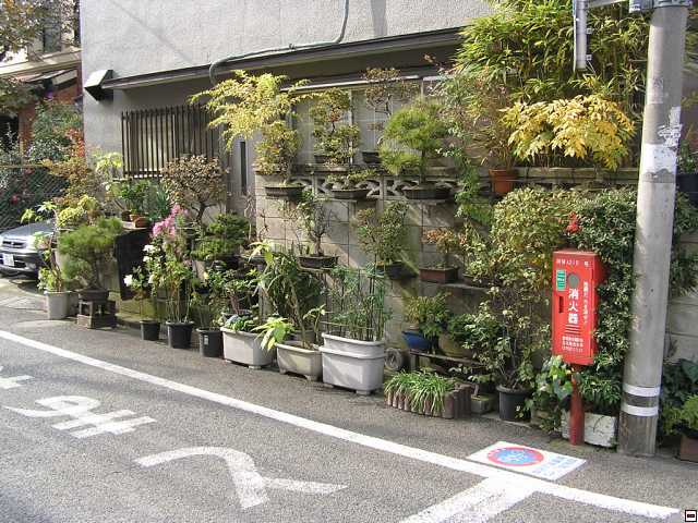PB260026.jpg