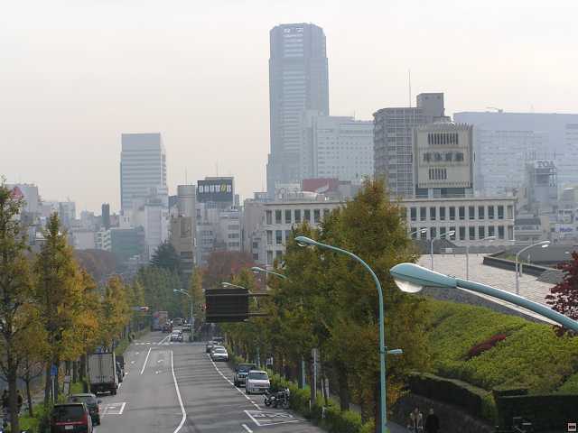 PB260029.jpg