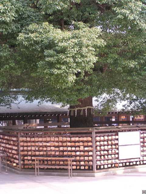 PB260034.jpg