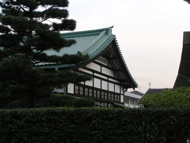 PB260066.jpg