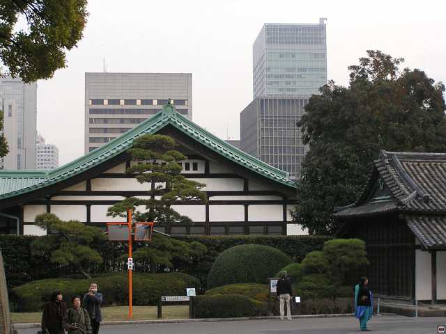 PB260068.jpg
