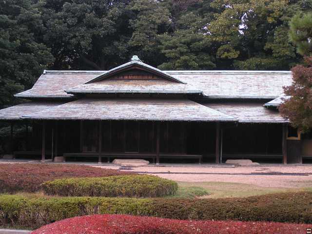 PB260082.jpg