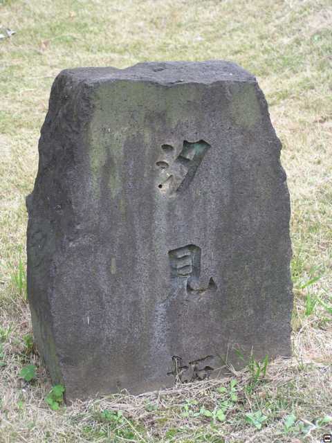 PB260086.jpg