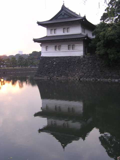 PB260097.jpg
