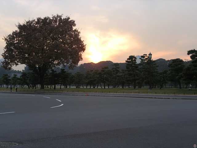 PB260098.jpg