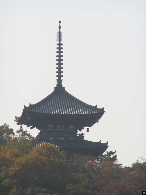 PB270121.jpg