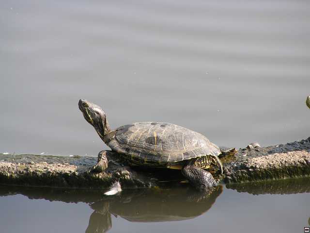 PB270125.jpg