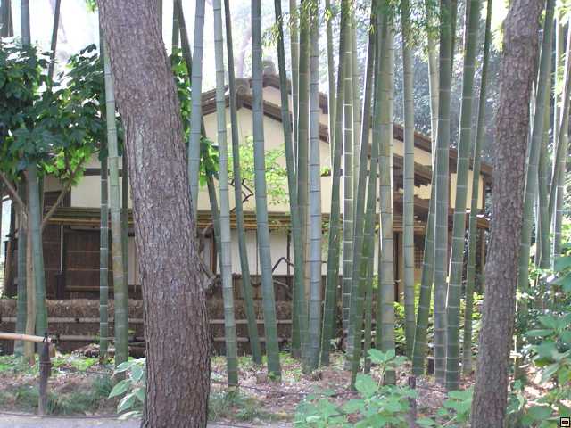 PB270150.jpg
