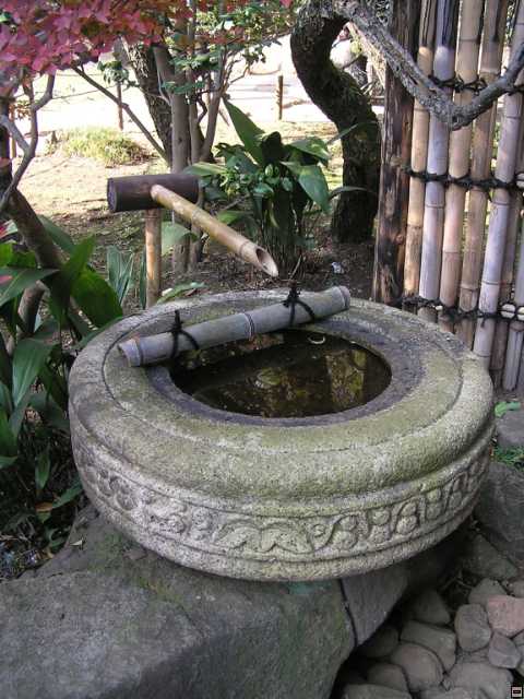 PB270159.jpg