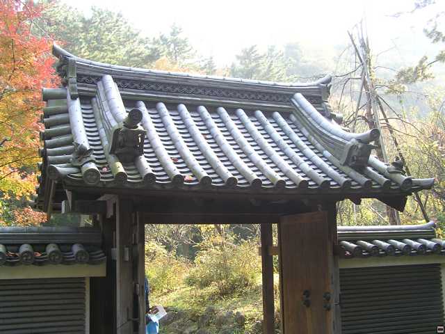 PB270180.jpg