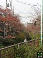 thn_PB260015.jpg