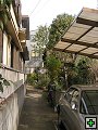 thn_PB260020.jpg