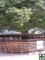thn_PB260034.jpg