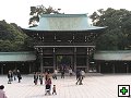 thn_PB260035.jpg