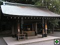 thn_PB260052.jpg