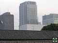 thn_PB260069.jpg