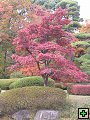 thn_PB260081.jpg