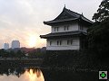 thn_PB260096.jpg