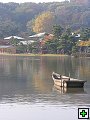 thn_PB270118.jpg