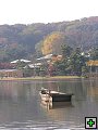 thn_PB270120.jpg