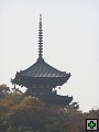 thn_PB270121.jpg