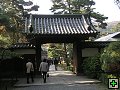 thn_PB270126.jpg