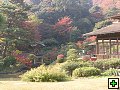 thn_PB270128.jpg