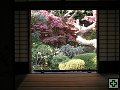 thn_PB270136.jpg