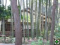 thn_PB270150.jpg