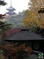 thn_PB270169.jpg