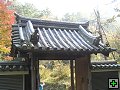 thn_PB270180.jpg