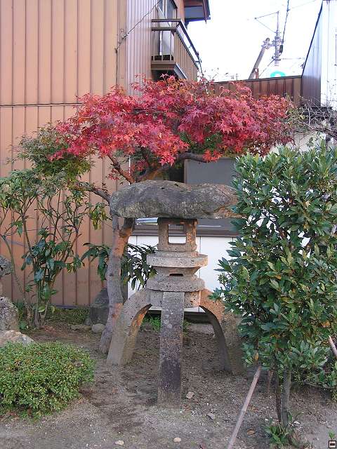 img00001.jpg