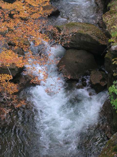 img00002.jpg
