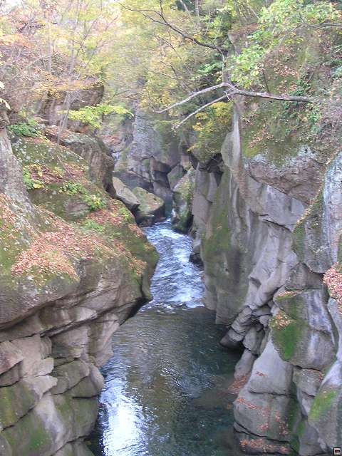img00004.jpg